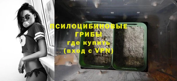 не бодяженный Гусиноозёрск
