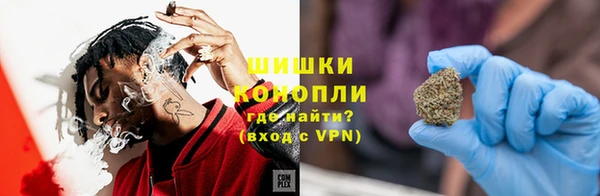PSILOCYBIN Гусь-Хрустальный