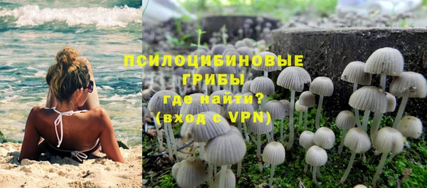 марки lsd Гусев