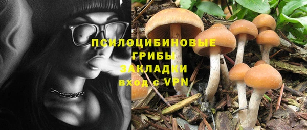не бодяженный Гусиноозёрск
