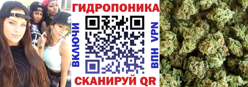 Купить закладки  Красноуфимск  Канабис план 